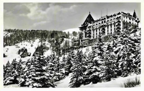 AK / Ansichtskarte St Moritz  SANKT MORITZ GR Palace-Hotel Grandhotel Schnee Winter Wald Tannen Berghotel