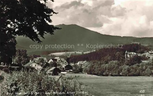 AK / Ansichtskarte Bayerisch Eisenstein REGEN Bayern Arber Bayerischer-Wald Dorfpanorama Wiese Wald Berg Haeuser