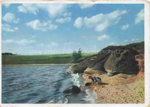 AK / Ansichtskarte Franzensbad Boehmen FRANTISKOVY LAZNE CZ Teich Huenengraeber Megalith Ufer Felder Badende Felsen