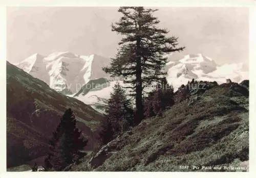 AK / Ansichtskarte Piz Palue 3905m GR Piz-Bellavista Bernina-Gruppe Bergpanorama Gletscher Laerchen Hochgebirge