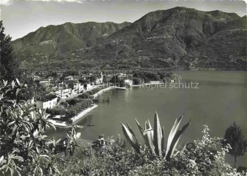 AK / Ansichtskarte Ascona Lago Maggiore TI Lago-Maggiore Seepromenade Bergpanorama Agave Kirchturm Haeuser Boote
