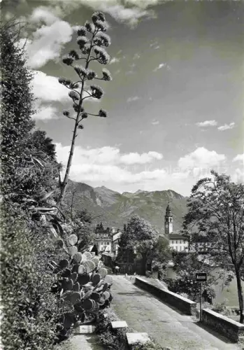 AK / Ansichtskarte Ascona Lago Maggiore TI Agave Kaktus Kirchturm Bergpanorama Weg Vegetation Mediterranes-Klima