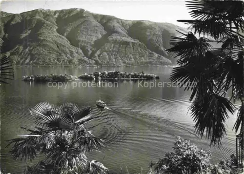 AK / Ansichtskarte Isole di Brissago Locarno TI Lago-Maggiore Insel Palmen Dampfer Bergpanorama See Botanischer-Garten