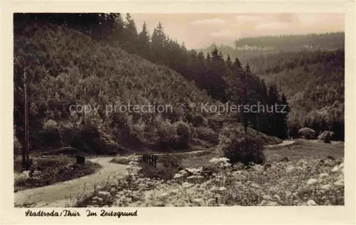 AK / Ansichtskarte Stadtroda Thueringen Zeitzgrund Wald Waldweg Tal Kiefern Nadelwald