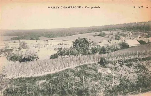 AK / Ansichtskarte Mailly-Champagne Mailly-le Petit REIMS 51 Marne Weinreben Dorf Huegel Baeume Felder Ortschaft