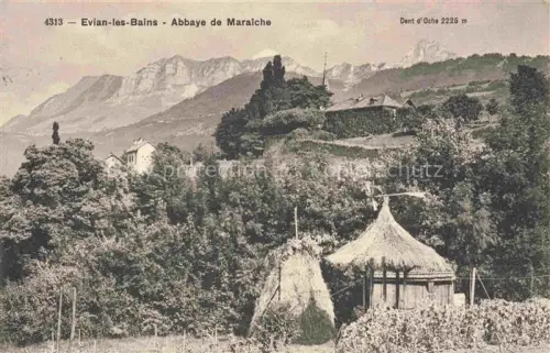 AK / Ansichtskarte Evian-les-Bains Thonon-les-Bains 74 Haute-Savoie Abbaye-de-Maraîche Dent-d Oche Berge Heuhaufen Weinberg Kloster Baeume Gebirge