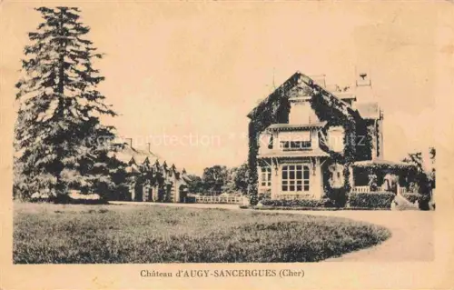 AK / Ansichtskarte Sancergues BOURGES 18 Cher Château-d Augy Herrenhaus Parkanlage Efeu Tannenbaum Wiese