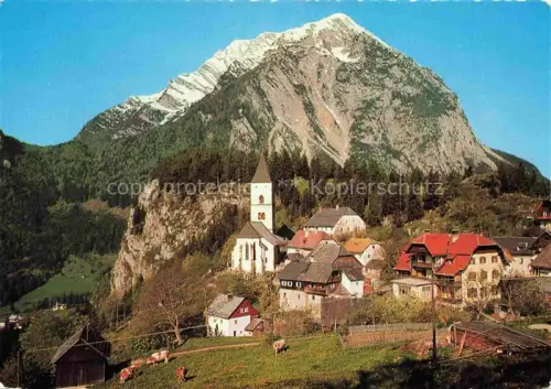 AK / Ansichtskarte Puergg-Trautenfels Grimming Steiermark AT Ennstal Grimming Kirchturm Bergdorf Kuehe Felsvorsprung Sommer Alpen