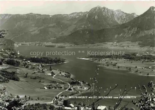 AK / Ansichtskarte ST WOLFGANG  Wolfgangsee Oberoesterreich AT Wolfgangsee Falkenstein See Bergpanorama Salzkammergut Dorf Wiesen