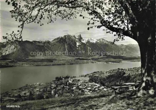 AK / Ansichtskarte Sigriswil Thunersee BE Thunersee Stockhornkette Dorf Berge See Baum Bank Wiesen