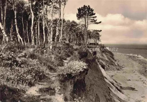 AK / Ansichtskarte Stolteraa WARNEMueNDE Ostseebad Rostock Steilufer Kueste Strand Birken Kiefern Ostsee DDR