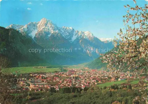 AK / Ansichtskarte LIENZ  Tirol AT Stadtpanorama Dolomiten Alpen Tal Fruehlingsbluete Kirchtuerme