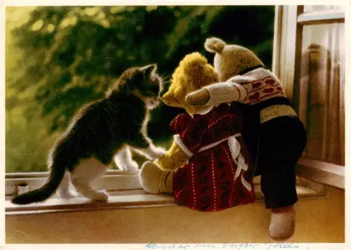 AK / Ansichtskarte Reichenbach  Vogtland Sachsen Teddybaeren Katze Fenster Spielzeug Tierfotografie Farbfoto DDR