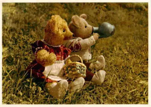 AK / Ansichtskarte Reichenbach  Vogtland Sachsen Teddybaeren Fernglas Korb Wiese Spielzeug Tierfotografie Farbfoto DDR