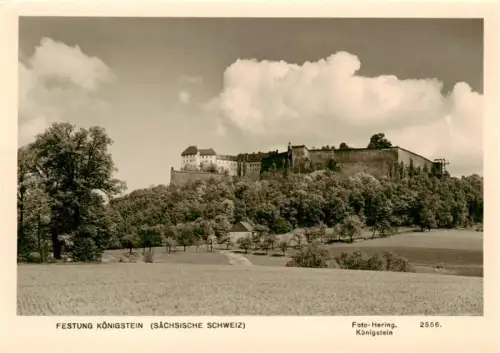 AK / Ansichtskarte Koenigstein Saechsische Schweiz Sachsen Festung-Koenigstein Saechsische-Schweiz Festungsmauer Felder Wald Baeume