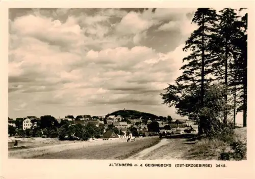 AK / Ansichtskarte Altenberg Dippoldiswalde Sachsen Altenberg Geisingberg Ost-Erzgebirge Stadtblick Weg Felder Baeume Wolken