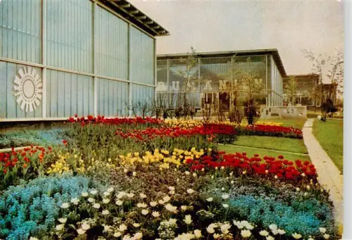 AK / Ansichtskarte ERFURT  CITY Gartenbauausstellung Tulpen Blumenbeet Ausstellungshalle Fruehjahr DDR
