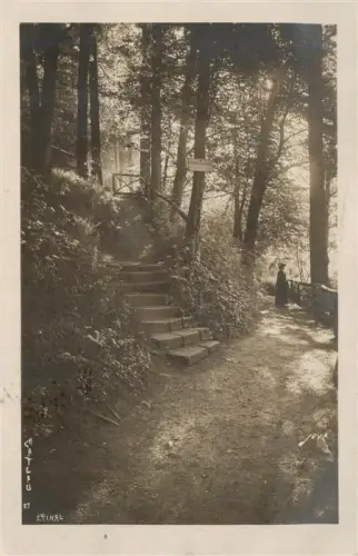 AK / Ansichtskarte EPINAL 88 Vosges Waldweg Treppe Frau Baeume Naturpfad