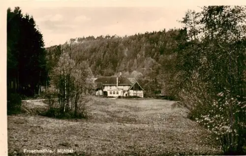 AK / Ansichtskarte Greiz Thueringen Froschmuehle Muehltal Fachwerkhaus Wald Wiese Bach Muehle