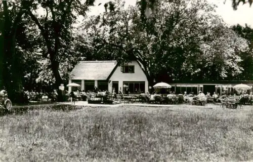 AK / Ansichtskarte Bakkum Castricum Noord-Holland NL Café-Restaurant-Theehuis Johanna s-Hof Terrasse Besucher Sonnenschirme Baeume Wiese