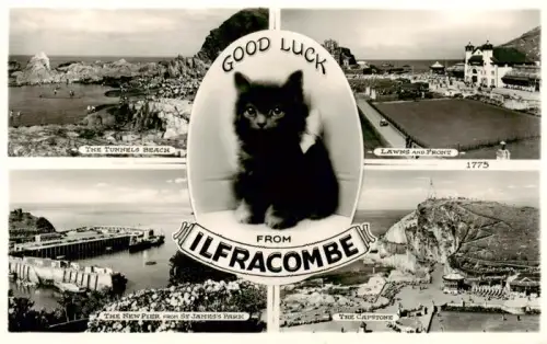 AK / Ansichtskarte Ilfracombe North Devon UK Tunnels-Beach Lawns-and-Front New-Pier St-James s-Park Capstone Kueste Klippen Katze