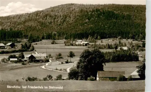 AK / Ansichtskarte Baernhoehe Baernhoehe Friedenfels Steinwald Weiler Felder Nadelwald Gehoefte