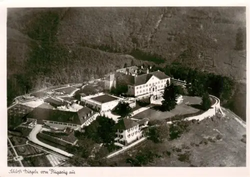 AK / Ansichtskarte BueRGELN  Schloss Schliengen BW Schloss-Buergeln Luftbild Wald Huegel Schwarzwald Schlossanlage