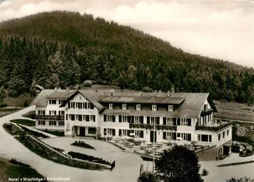 AK / Ansichtskarte Bischofsmais Regen Bayern Hotel-Wastlsaege Bayerischer-Wald Fliegeraufnahme Terrasse Wald Huegel