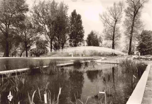 AK / Ansichtskarte BUGA Bundesgartenschau Blumenbecken mit Wasserspiel 