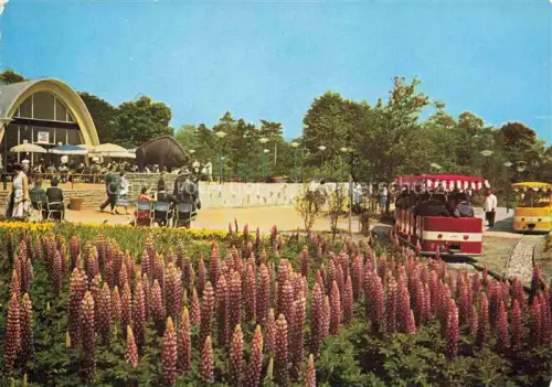 AK / Ansichtskarte BUGA Bundesgartenschau Dortmund Hauptbahnhof Kleinbahn Fernmeldeturm 