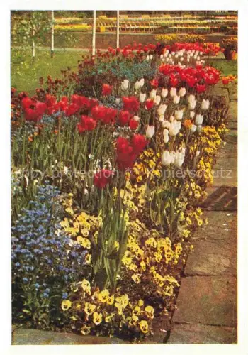 AK / Ansichtskarte BUGA Bundesgartenschau Blumenrabatten am Haupteingang 