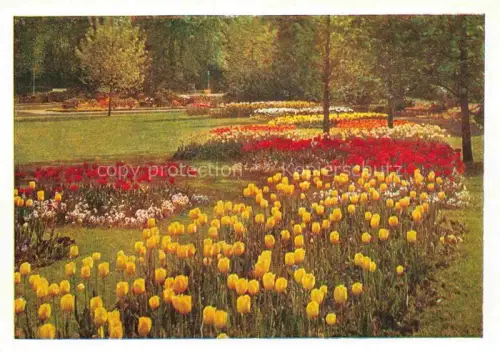 AK / Ansichtskarte BUGA Bundesgartenschau Blumenrabatten im Ausstellungsgelaende 