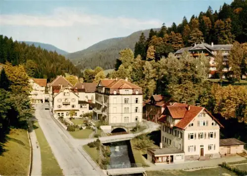 AK / Ansichtskarte BAD RIPPOLDSAU-SCHAPBACH Luitgardstift Schwarzwald Bach Bruecke Kurhotel Wald Berge Herbst Strasse