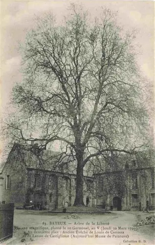 AK / Ansichtskarte BAYEUX 14 Calvados Arbre-de-la-Liberté Platane Évêché Musée-de-Peinture Baum Historisch