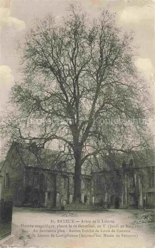 AK / Ansichtskarte BAYEUX 14 Calvados Arbre-de-la-Liberté Platane Évêché Musée-de-Peinture Baum Rue-de-la-Faisanderie