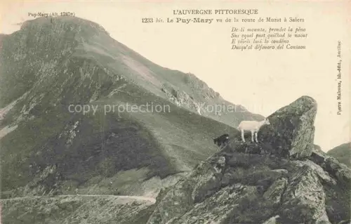AK / Ansichtskarte Le Puy-Mary Montagne 1787m 15 Cantal Puy-Mary Route-de-Murat-a-Salers Ziege Berggipfel Felsen Hochland Gedicht
