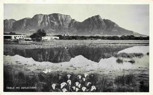 AK / Ansichtskarte Cape-Town Kaapstad Kapstadt South-Africa RSA Table-Mountain Tafelberg Spiegelung See Lilien Feuchtgebiet Landschaft