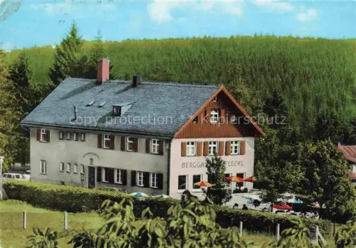 AK / Ansichtskarte Fleckl Fichtelgebirge Oberwarmensteinach Bayern Berggasthof-Fleckl Fichtelgebirge Gasthof Wald Terrasse Sonnenschirme