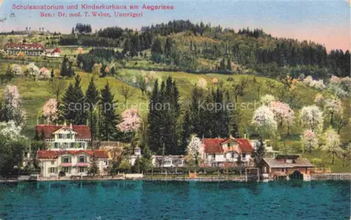 AK / Ansichtskarte Unteraegeri Unter-Aegeri ZG Schulsanatorium Kinderkurhaus Aegerisee See Villen Wald Obstbaeume