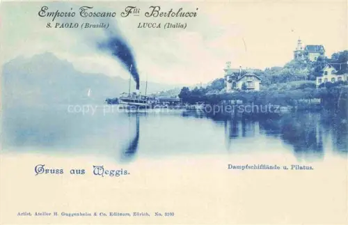 AK / Ansichtskarte Weggis Vierwaldstaettersee LU Dampfschifflaende-Weggis Pilatus Dampfschiff Vierwaldstaettersee Anlegesteg Huegel Villen