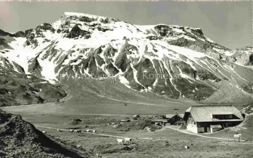 AK / Ansichtskarte Engstligenalp Adelboden BE Wildstrubel Sennhuette Berghotel Kuehe Hochplateau Schnee Berge