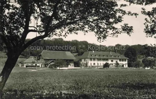 AK / Ansichtskarte St Petersinsel Sankt Petersinsel Erlach BE Ile-de-St-Pierre Bauernhof Wiesen Baeume Herrenhaus Bielersee