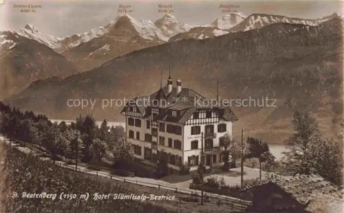 AK / Ansichtskarte St Beatenberg BE Hotel-Bluemtisalp-Beatrice Schreckhorn Eiger Moench Jungfrau Thunersee Wald Rue-Lafayette Paris