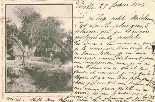 AK / Ansichtskarte Puebla Mexico Chozas Colon Strohhuetten Baum Landarbeiter laendliche-Szene
