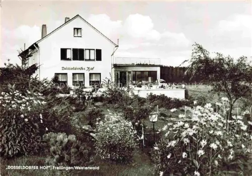 AK / Ansichtskarte Freilingen  Westerwald Rheinland-Pfalz Duesseldorfer-Hof Hotel Pension Garten Blumen Westerwald