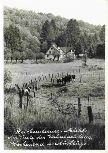 AK / Ansichtskarte Much Bergisches Land Rhein-Sieg-Kreis NRW Reichensteiner-Muehle Wahnbachtal Fachwerkhaus Kuehe Wiese Wald Café-Pension Much