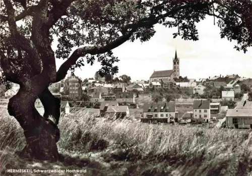 AK / Ansichtskarte Hermeskeil Truppenkantine Hermeskeil Schwarzwaelder-Hochwald Kirchturm Dorf Wiese Eiche Siedlung