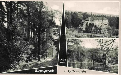 AK / Ansichtskarte Wenzigerode Bad Zwesten Hessen Waldweg Sanatorium-Ebersberg Stiller-Weiher Kellerwald Nadelwald Teich