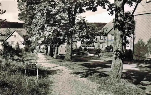 AK / Ansichtskarte Buntenbock Oberharz Goslar Niedersachsen Dorfstrasse Baeume Bank Wohnhaeuser Hoehenluftkurort Oberharz
