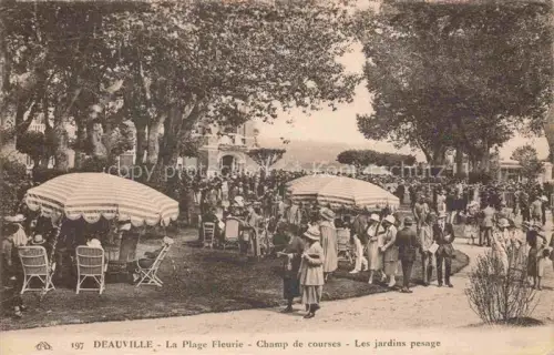 AK / Ansichtskarte DEAUVILLE-SUR-MER Lisieux 14 Calvados Champ-de-courses Jardins-pesage Sonnenschirme Menschenmenge Pferderennen Korbstuehle Baeume